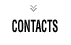contacts